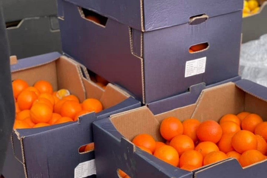 Fin de la Fête du Citron® 2026 : vente des agrumes et fleurs à Menton